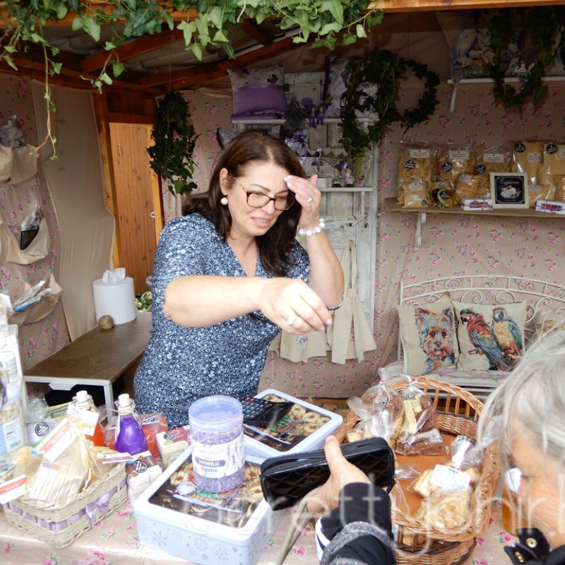 Helyi Értékek Startja 83